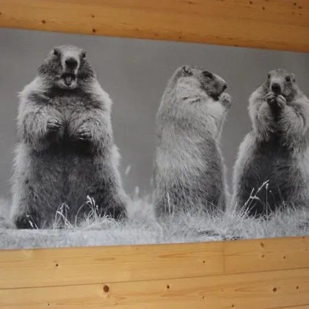 Le Bayamont 3* 木屋