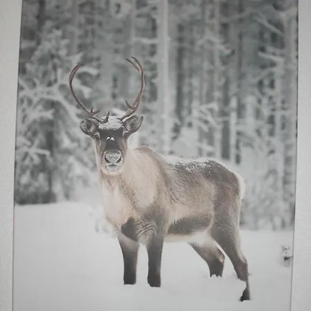 Alpehytte Le Bayamont 3*