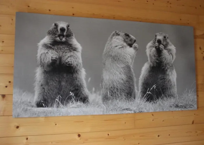 Le Bayamont 3* Horská chata