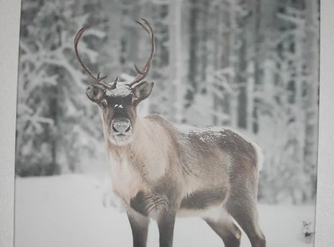 Horská chata Le Bayamont 3*